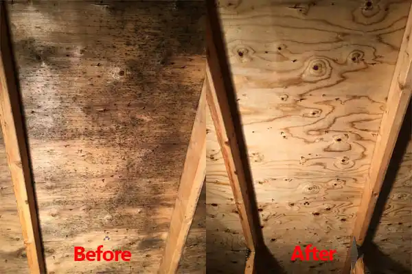 water damage restoration service Villas